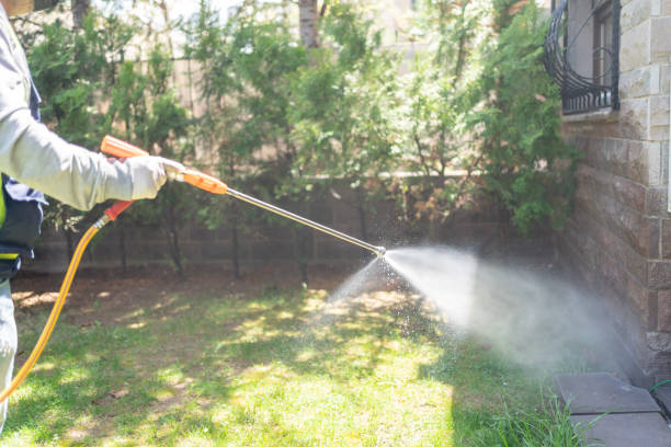 Best Pest Control for Restaurants  in Hardinsburg, KY