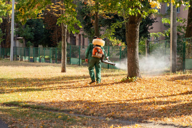 Professional Pest Control in Hardinsburg, KY