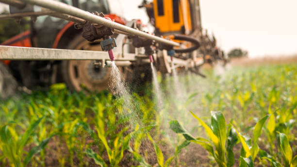 Best Commercial Pest Control Services  in Hardinsburg, KY